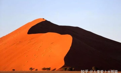 身上有疤能当模特吗男-身上有疤可以报考军校吗、身上有疤可以报警校吗 -身上有疤能当模特吗网
